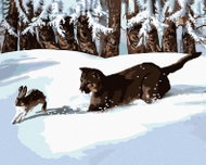 Zuty - Painting by Numbers - Puma Hunting Rabbits in the Snow (D. Rusty Rust), 40X50 Cm, Canvas - Painting by Numbers