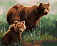 Zuty - Painting by Numbers - Bear With Cub In Grass (D. Rusty Rust), 40X50 Cm, Canvas - Painting by Numbers