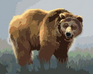 Zuty - Painting By Numbers - Bear In The Fog (D. Rusty Rust), 40X50 Cm, Canvas+Frame - Painting by Numbers