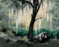 Zuty - Painting By Numbers - Bear In The Forest (D. Rusty Rust), 40X50 Cm, Canvas - Painting by Numbers