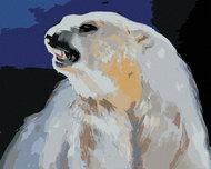 Zuty - Painting by Numbers - Angry Polar Bear (D. Rusty Rust), 40X50 Cm, Canvas+Frame - Painting by Numbers