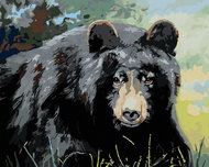Zuty - Painting by Numbers - Bear Eye View (D. Rusty Rust), 40X50 Cm, Canvas - Painting by Numbers