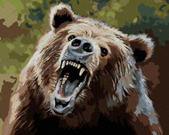 Zuty - Painting by Numbers - Bear With Open Mouth (D. Rusty Rust), 80X100 Cm, Canvas+Frame - Painting by Numbers