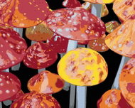 Zuty - Painting by Numbers - Toadstools (Dennis Frates), 40X50 Cm, Canvas+Frame - Painting by Numbers