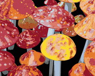 Zuty - Painting by Numbers - Toadstools (Dennis Frates), 40X50 Cm, Canvas - Painting by Numbers
