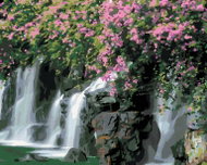 Zuty - Painting by Numbers - Flowers Above the Raft (Dennis Frates), 40X50 Cm, Canvas - Painting by Numbers
