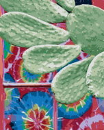 Zuty - Painting by Numbers - Cactus (Dennis Frates), 80X100 Cm, Canvas - Painting by Numbers