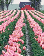Zuty - Painting by Numbers - Pink Tulips at the Barn (Dennis Frates), 40X50 Cm, Canvas - Painting by Numbers