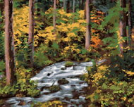 Zuty - Painting by Numbers - Stream in the Forest (Dennis Frates), 40X50 Cm, Canvas+Frame - Painting by Numbers
