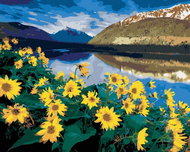 Zuty - Painting by Numbers - Yellow Flowers at Mountain Lake (Dennis Frates), 40X50 Cm, Canvas - Painting by Numbers