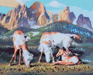 Zuty - Painting By Numbers - Horses Or World Map (D. Rusty Rust), 40X50 Cm, Canvas+Frame - Painting by Numbers
