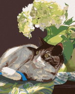Zuty - Painting by Numbers - Lying Cat Under a Flower (Mardell Schuster), 40X50 Cm, Canvas - Painting by Numbers