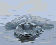 Zuty - Painting by Numbers - Alligator In Water (D. Rusty Rust), 40X50 Cm, Canvas+Frame - Painting by Numbers