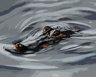 Zuty - Painting By Numbers - Alligator Head In Water Iii (D. Rusty Rust), 40X50 Cm, Canvas+Frame - Painting by Numbers