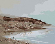 Zuty - Painting by Numbers - Alligator Lying by the Water (D. Rusty Rust), 40X50 Cm, Canvas - Painting by Numbers