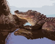 Zuty - Painting by Numbers - Alligator By The Water Tribe (D. Rusty Rust), 40X50 Cm, Canvas - Painting by Numbers