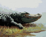 Zuty - Painting by Numbers - Alligator Lying in the Grass by the Water (D. Rusty Rust), 40X50 Cm, Ca - Painting by Numbers