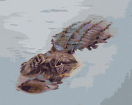 Zuty - Painting By Numbers - Alligator Floating In Water (D. Rusty Rust), 40X50 Cm, Canvas+Frame - Painting by Numbers