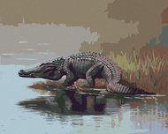 Zuty - Painting by Numbers - Alligator Going Into the Water (D. Rusty Rust), 40X50 Cm, Canvas+Frame - Painting by Numbers