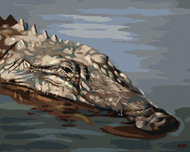 Zuty - Painting By Numbers - Alligator Head In Water Ii (D. Rusty Rust), 80X100 Cm, Canvas+Frame - Painting by Numbers