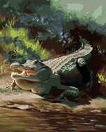 Zuty - Painting by Numbers - Alligator Lying by the Water Viii (D. Rusty Rust), 40X50 Cm, Canvas+Fra - Painting by Numbers