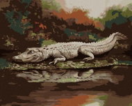 Zuty - Painting by Numbers - Alligator Lying by the Water Vii (D. Rusty Rust), 40X50 Cm, Canvas - Painting by Numbers