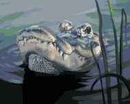 Zuty - Painting by Numbers - Alligator Head In Water (D. Rusty Rust), 40X50 Cm, Canvas - Painting by Numbers