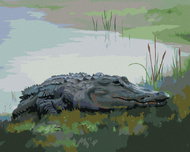 Zuty - Painting by Numbers - Alligator Lying by the Water Vi (D. Rusty Rust), 80X100 Cm, Canvas+Fram - Painting by Numbers