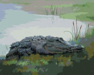 Zuty - Painting By Numbers - Alligator Lying By Water Vi (D. Rusty Rust), 40X50 Cm, Canvas+Frame - Painting by Numbers