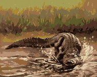 Zuty - Painting by Numbers - Alligator Running Into Water (D. Rusty Rust), 40X50 Cm, Canvas - Painting by Numbers