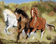 Zuty - Painting by Numbers - Horses Running (Victoria Schultz), 40X50 Cm, Canvas - Painting by Numbers