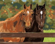 Zuty - Painting by Numbers - Two Horses in a Paddock (Victoria Schultz), 40X50 Cm, Canvas - Painting by Numbers