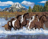 Zuty - Painting by Numbers - Herd of Horses in Water and Mountains (Victoria Schultz), 40X50 Cm, Can - Painting by Numbers