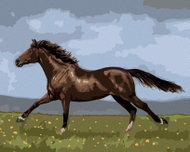 Zuty - Painting by Numbers - Running Horse (Victoria Schultz), 80X100 Cm, Canvas - Painting by Numbers