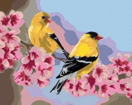 Zuty - Painting by Numbers - Bird on a branch with pink flowers (Victoria Schultz), 40X50 Cm, P - Painting by Numbers