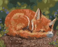 Zuty - Painting by Numbers - Sleeping Fox (Victoria Schultz), 40X50 Cm, Canvas+Frame - Painting by Numbers