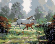 Zuty - Painting By Numbers - Mare With Foal In The Pasture (Northern Promotions), 40X50 Cm, Canvas+R - Painting by Numbers