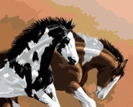 Zuty - Painting by Numbers - Crazy Horses (Victoria Schultz), 40X50 Cm, Canvas+Frame - Painting by Numbers