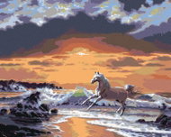 Zuty - Painting by Numbers - White Horse on the Beach and Sunset (Northern Promotions), 40X50 Cm, Ca - Painting by Numbers