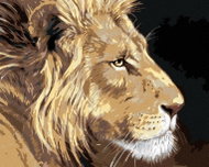 Zuty - Painting by Numbers - Lion (Victoria Schultz), 80X100 Cm, Canvas - Painting by Numbers