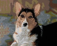 Zuty - Painting by Numbers - Welsh Corgi Pembroke (Victoria Schultz), 40X50 Cm, Canvas+Frame - Painting by Numbers