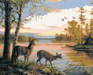 Zuty - Painting by Numbers - Srnec A Srna U Rybníka, Cottage And Sunset (Northern Promotions), 40 - Painting by Numbers