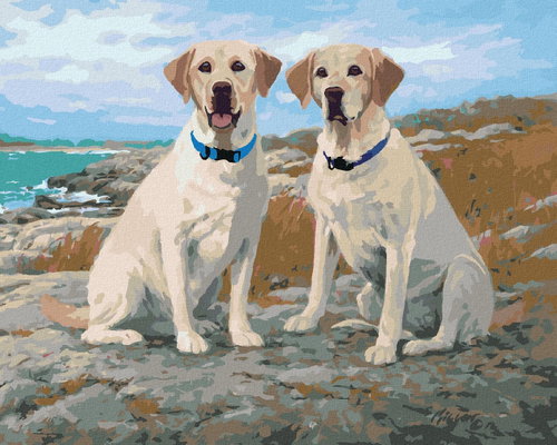 Zuty - Painting by Numbers - Golden Labradors on the Coast (Jim Killen), 40X50 Cm, Canvas+Frame - Painting by Numbers - Main image
