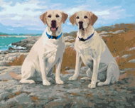 Zuty - Painting by Numbers - Golden Labradors on the Coast (Jim Killen), 40X50 Cm, Canvas - Painting by Numbers