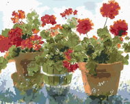 Zuty - Painting by Numbers - Red Muscats (Judy Buswell), 80X100 Cm, Canvas - Painting by Numbers