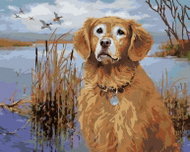 Zuty - Painting By Numbers - Golden Retriever At The Pond And The Duck (Jim Killen), 40X50 Cm, Canva - Painting by Numbers