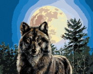 Zuty - Painting by Numbers - Wolf And Full Moon (James Meger), 40X50 Cm, Canvas - Painting by Numbers