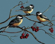 Zuty - Painting by Numbers - Tits on a Branch and Winter Fruits (James Meger), 40X50 Cm, Canvas+Fram - Painting by Numbers
