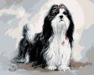 Zuty - Painting By Numbers - Shih-Tzu With Red Bow Tie (Jim Killen), 40X50 Cm, Canvas - Painting by Numbers