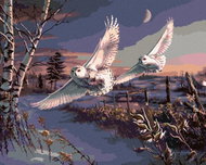 Zuty - Painting by Numbers - Snowy Owls in Flight (James Meger), 40X50 Cm, Canvas+Frame - Painting by Numbers
